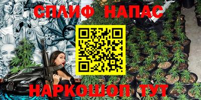 амф Шахты