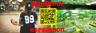 прущие грибы Шелехов