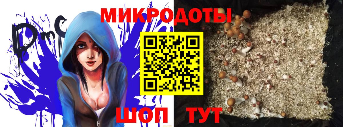 Галлюциногенные грибы Cubensis  Вход с VPN  Аша 